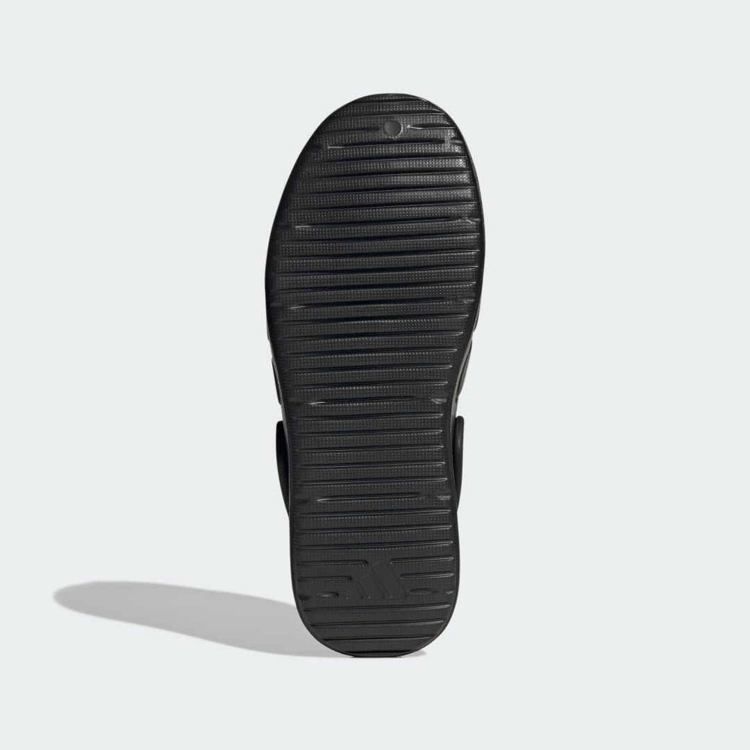 Znsory Clogs - vue 3