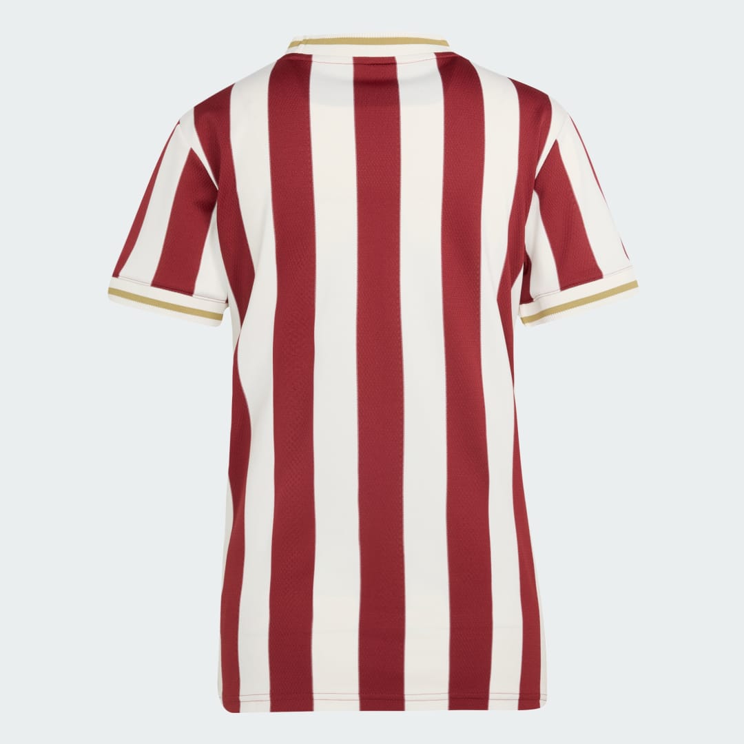 Adidas 1. FC Nürnberg Anniversary Voetbalshirt
