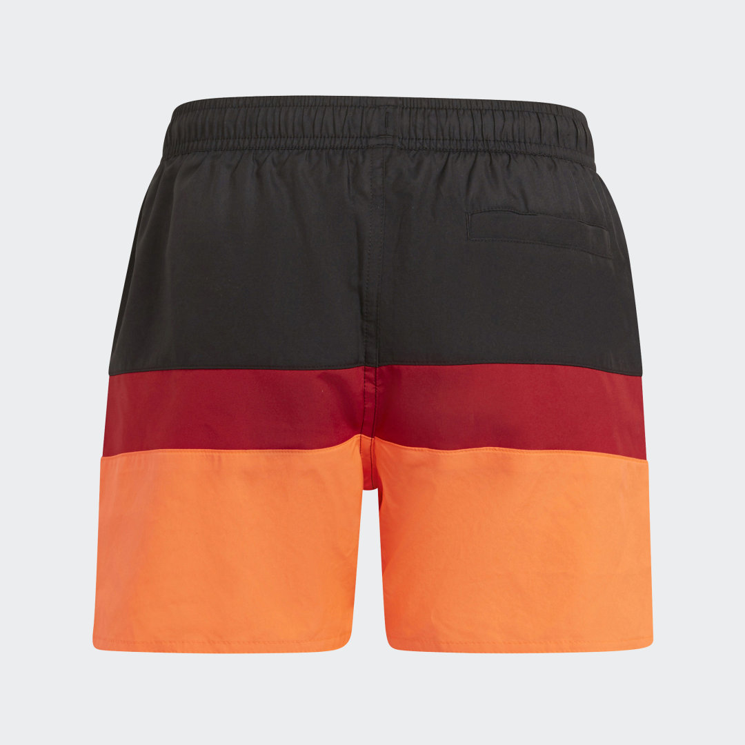 фото Шорты для плавания colorblock adidas performance