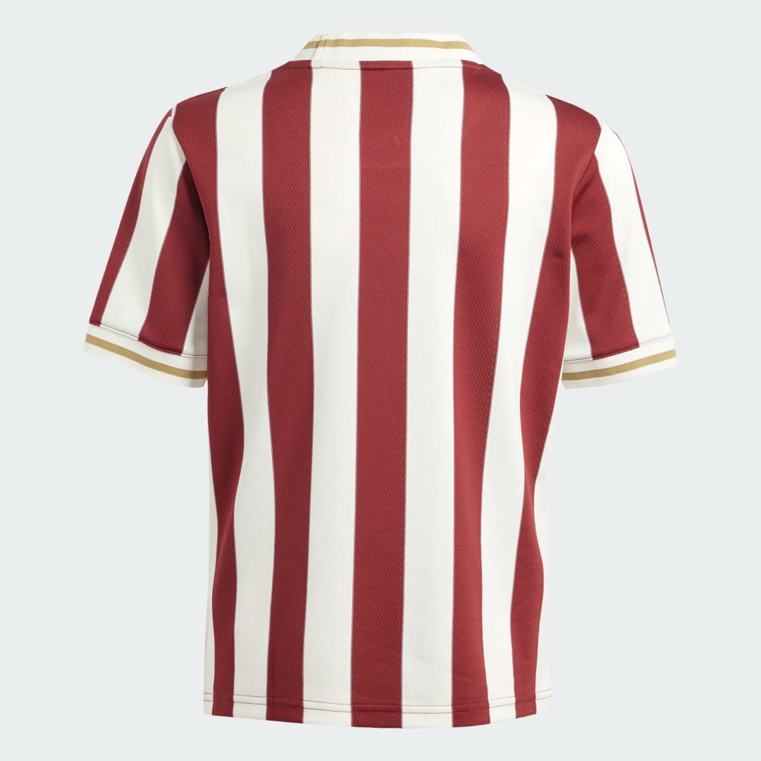 Adidas 1. FC Nürnberg Anniversary Voetbalshirt Kids