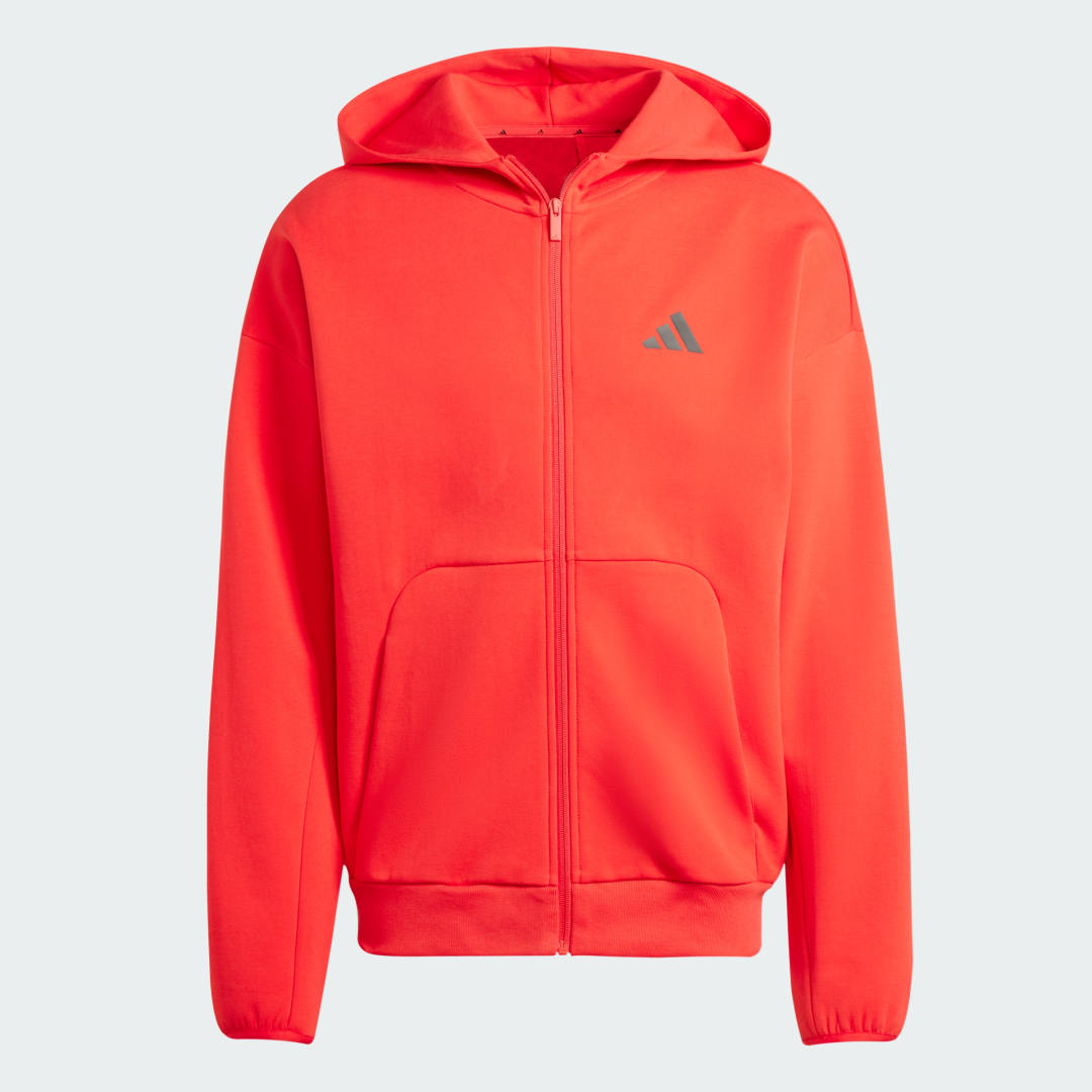 Adidas Future Icons Small Logo Ritshoodie