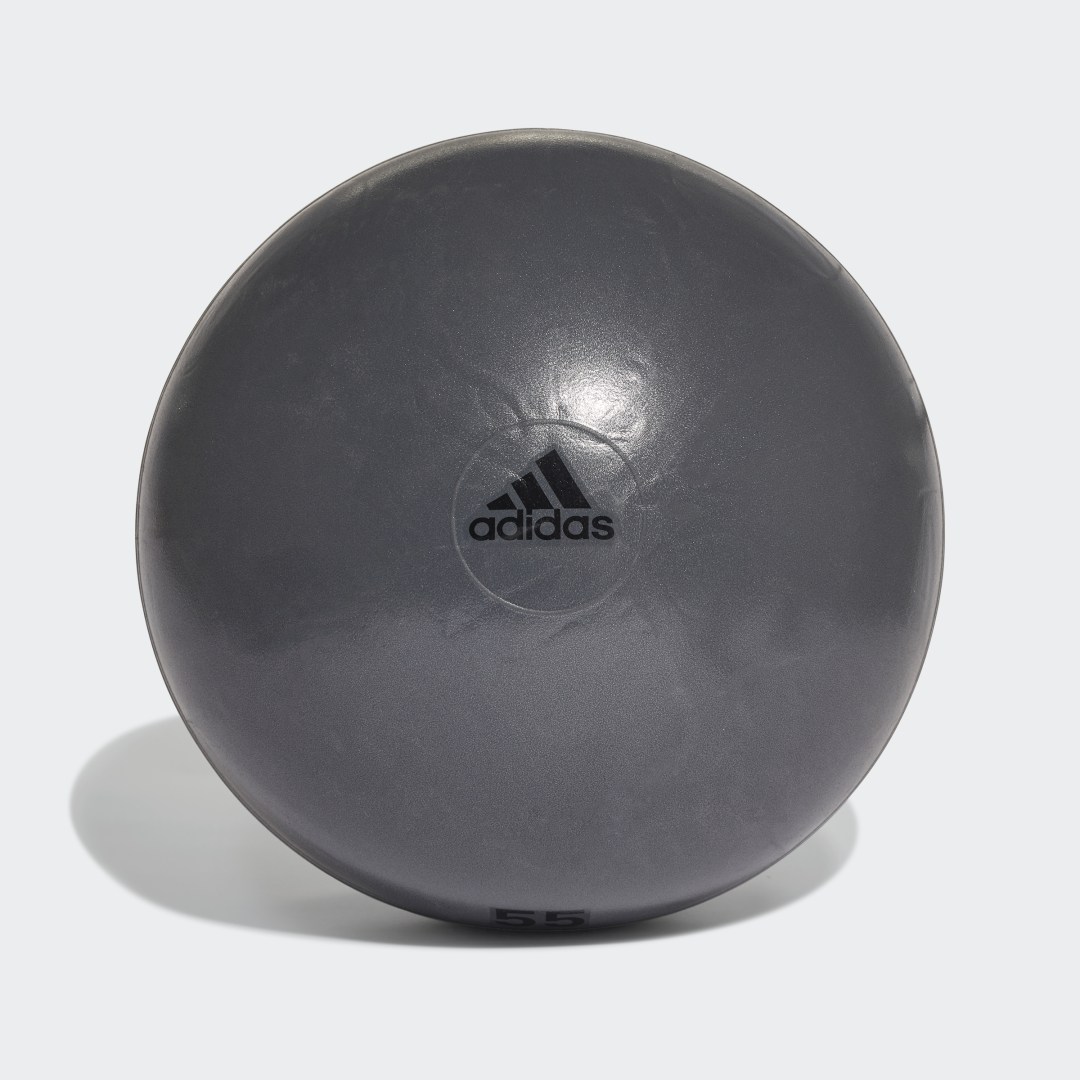 Ballon de gym 55cm