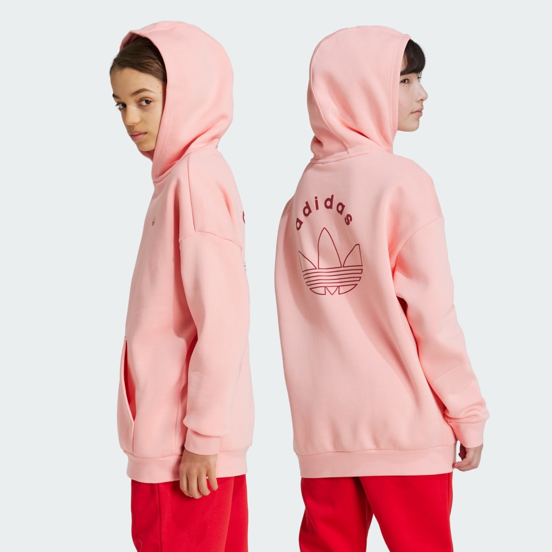 Adidas Graphic Hoodie Kids