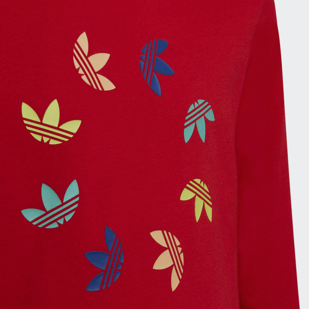 фото Худи adicolor adidas originals