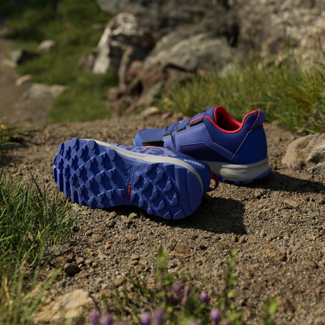 Adidas Terrex sneaker Semi Cobalt Blue / Cloud White / Semi Lucid Blue