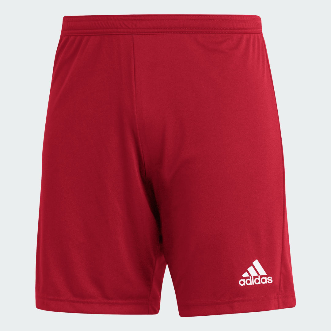 adidas Entrada 22 Shorts