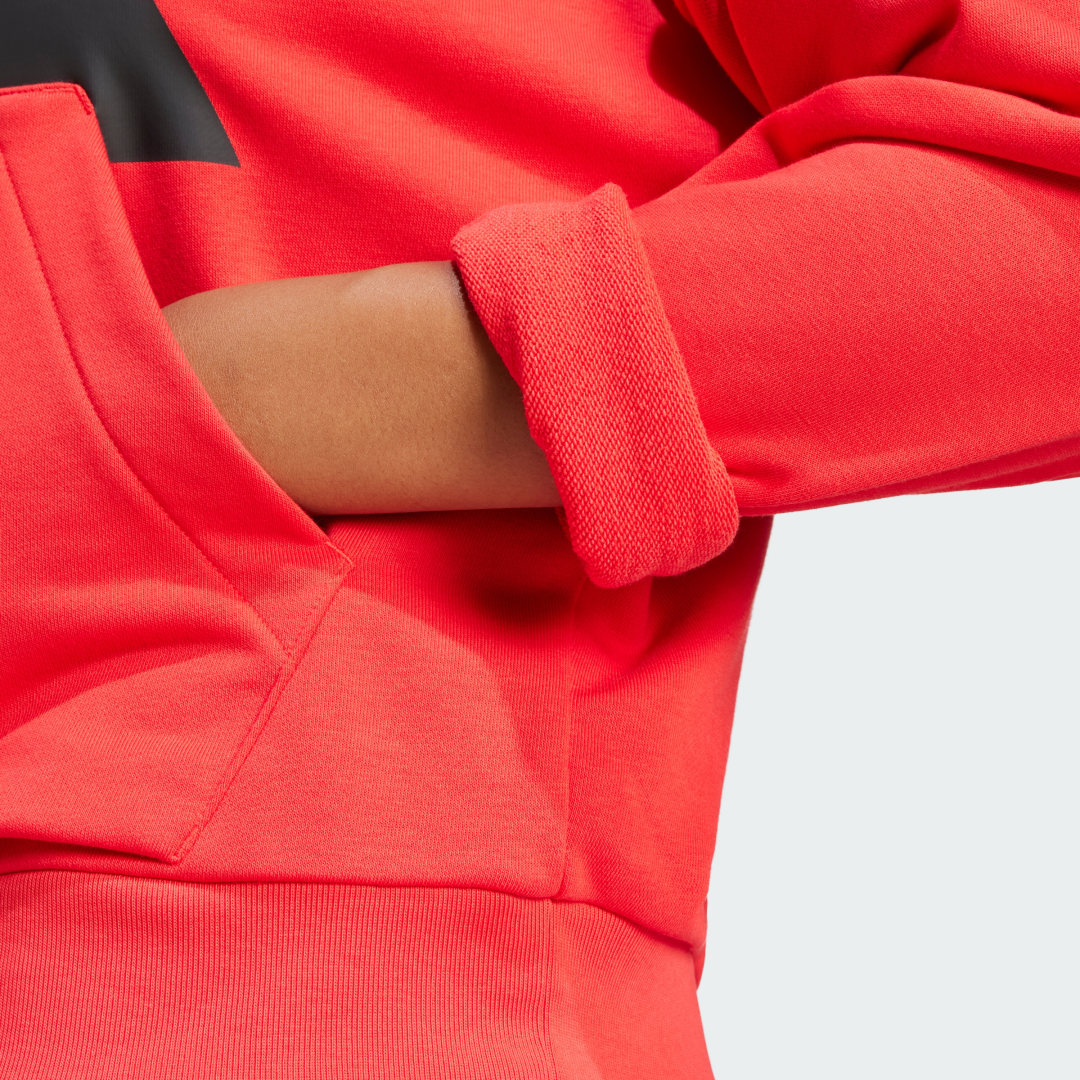 Adidas Essentials Big Logo French Terry Loose Hoodie