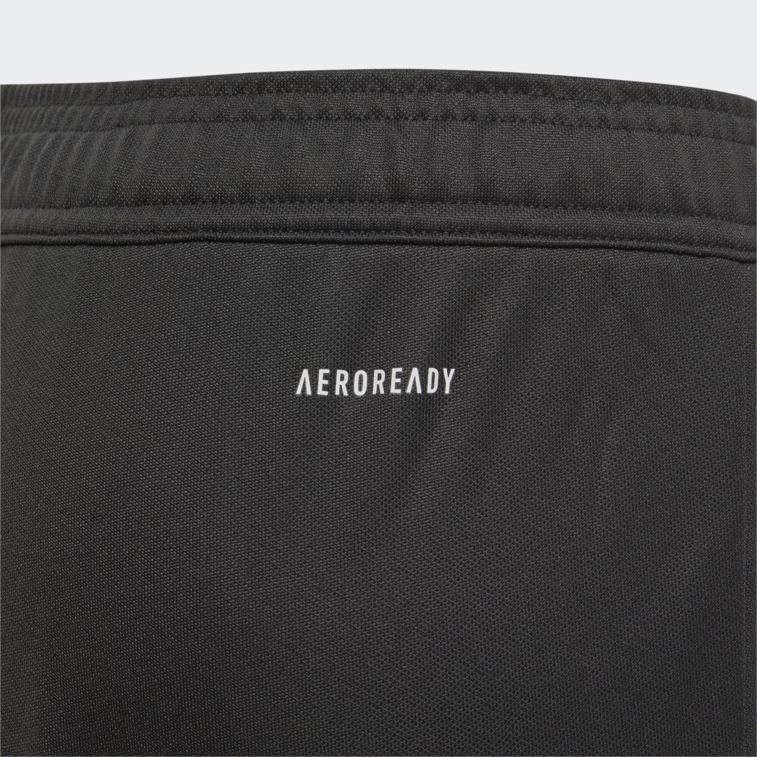 фото Тренировочные брюки сборной германии adidas performance