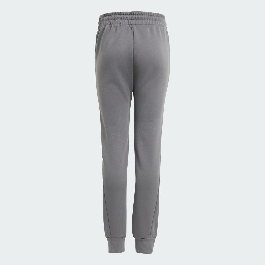 Adidas Mercedes AMG Petronas Formula One Team Silver Arrows Broek Kids