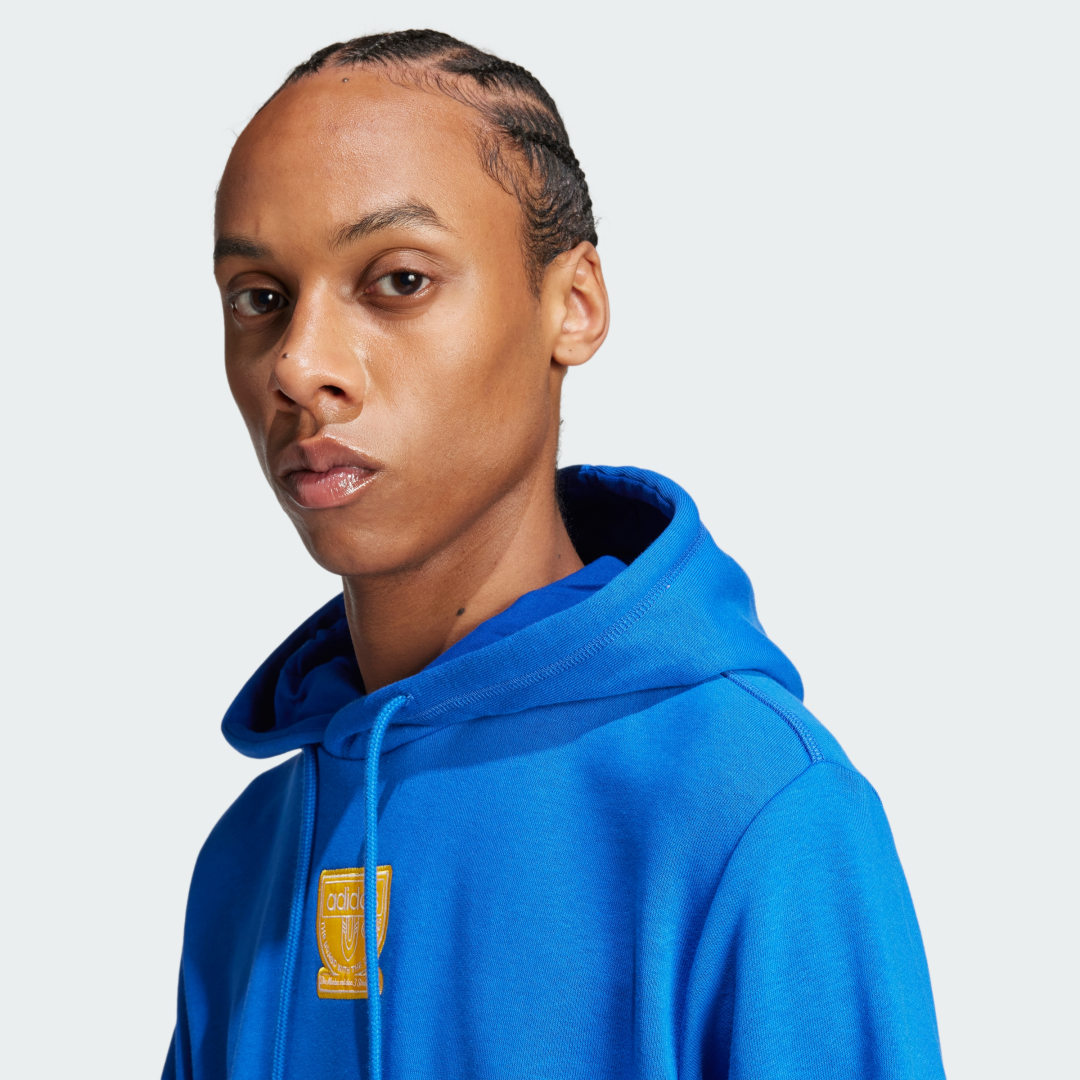 Adidas Graphic Hoodie