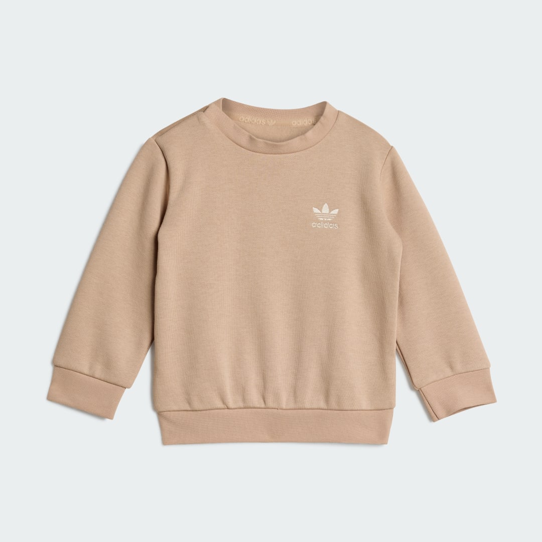 CREW SET IN Suit - vue 2