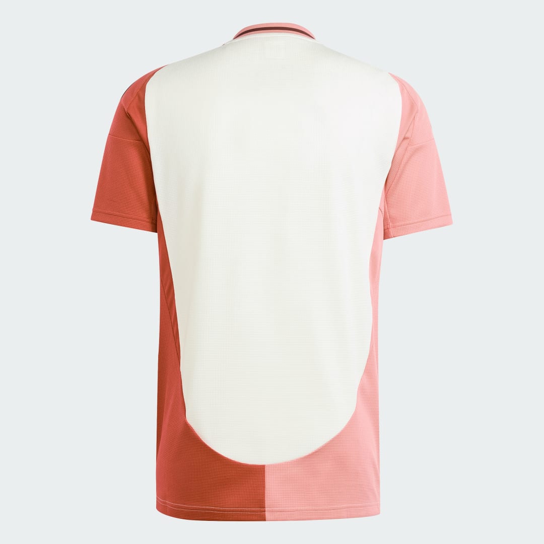 Adidas Olympique Lyonnais 24 25 Derde Shirt