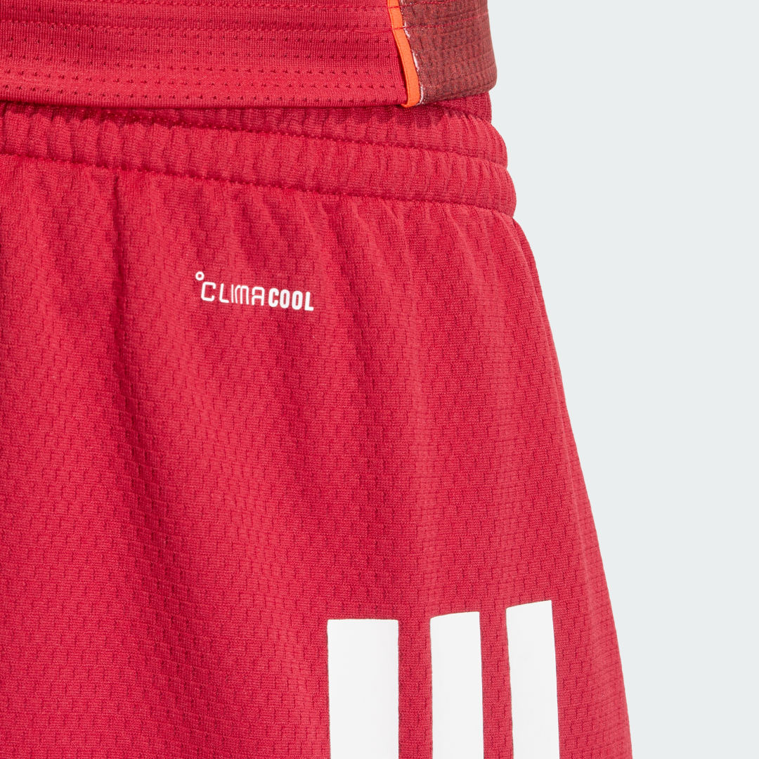 Adidas FC Bayern München Basketball Thuisshort