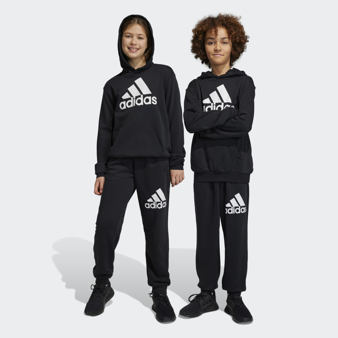 Adidas Essentials Big Logo Joggers