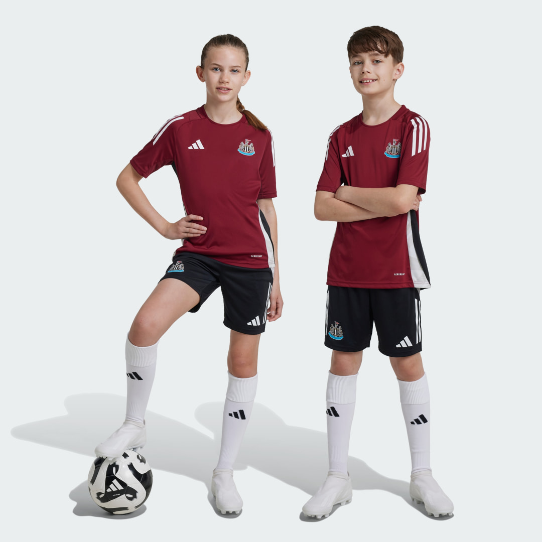 Adidas Newcastle United FC Tiro 24 Training Short Kids