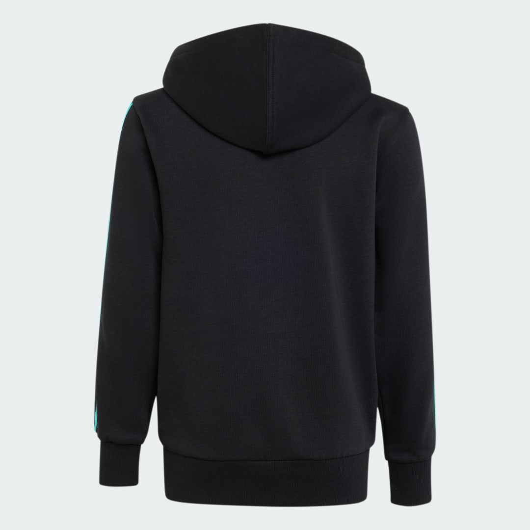 VESTE À CAPUCHE ZIP INTÉGRAL MERCEDES AMG PETRONAS FORMULA 1 TEAM DNA - vue 2