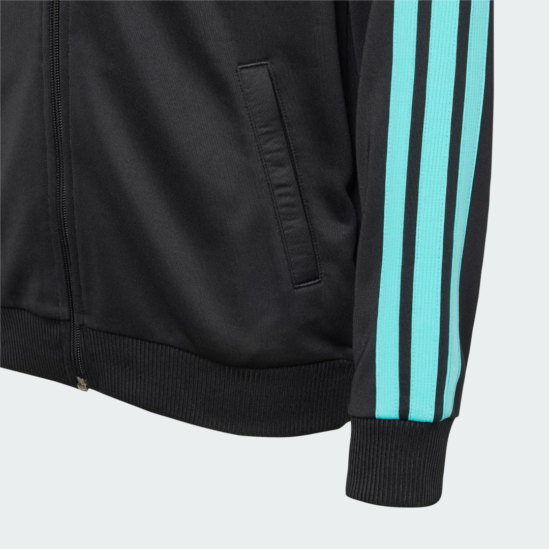 Adidas MERCEDES AMG PETRONAS FORMULA ONE TEAM DNA RITSHOODIE