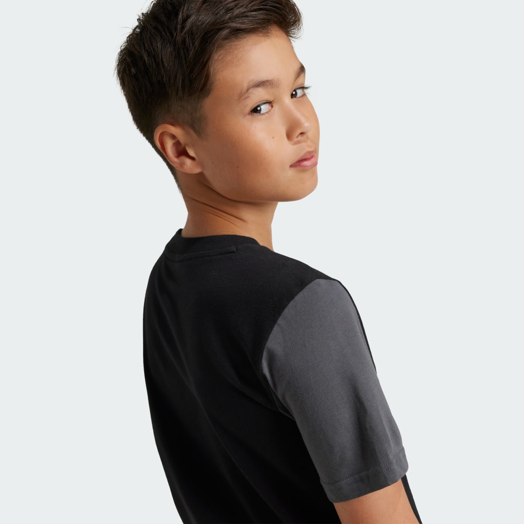 

adidas Playera Essentials Big Logo Colorblock Kids Niño, Negro/gris six/bright rojo