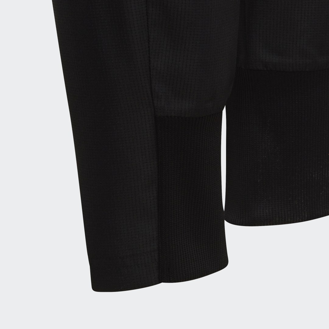 фото Парадные брюки сборной аргентины adidas performance