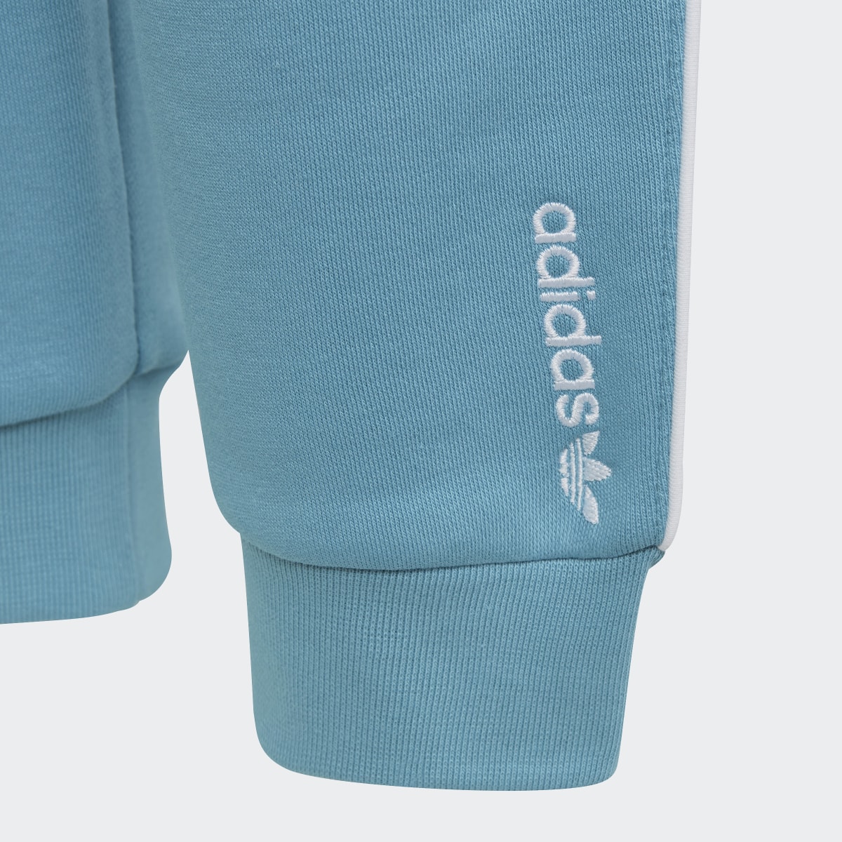 Adidas Adicolor Pants. 7