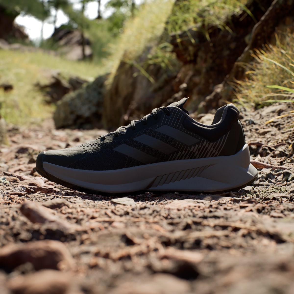 Adidas TERREX SOULSTRIDE FLOW GTX SHOES. 8