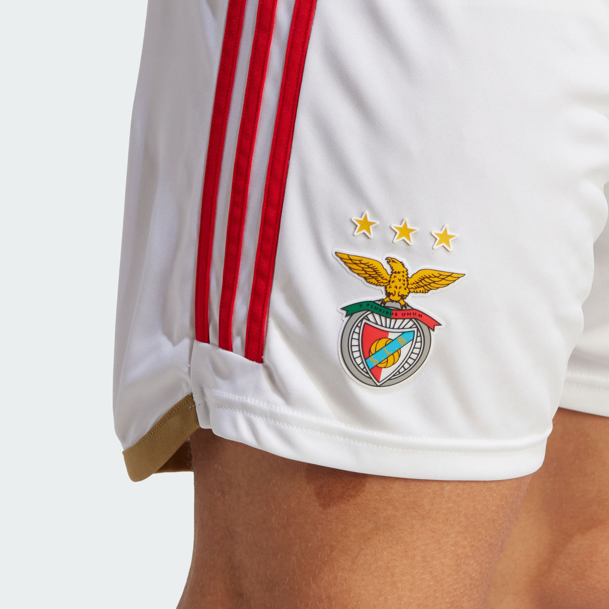 Adidas Benfica 23/24 Home Shorts. 6