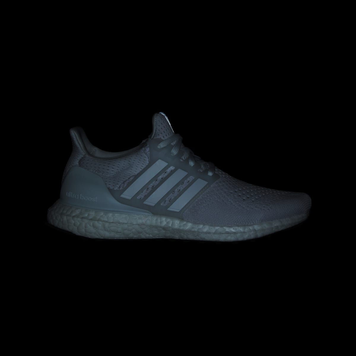 Adidas Ultraboost 1.0 Laufschuh. 5