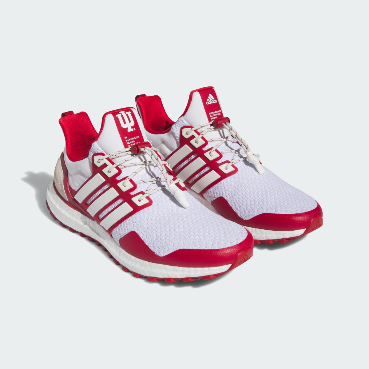 Adidas Indiana Ultraboost 1.0 Shoes. 5