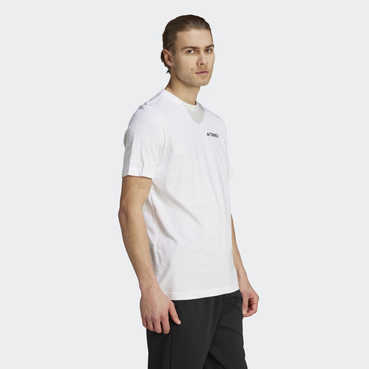 Adidas Terrex Graphic MTN 2.0 T-Shirt. 4