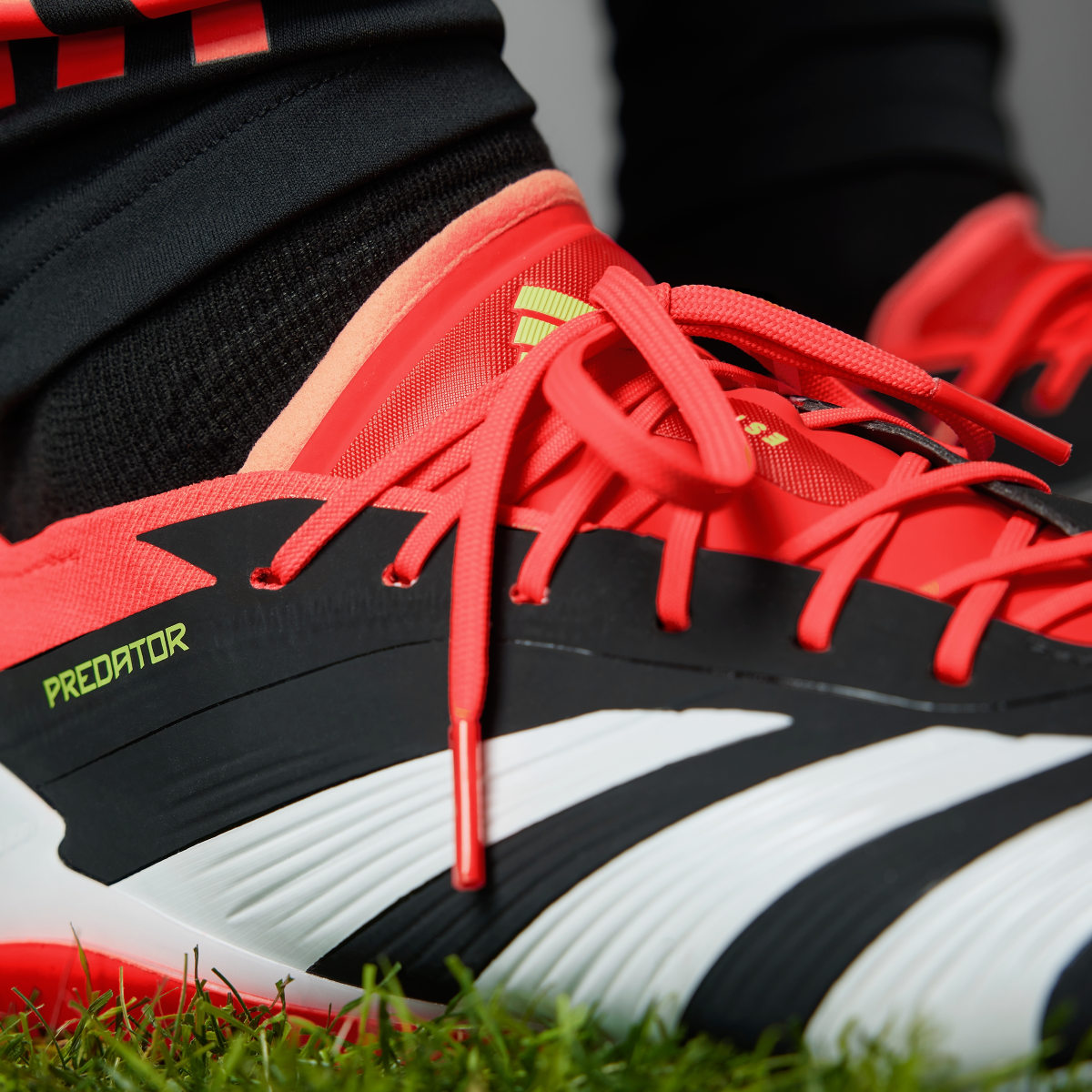 Adidas Botas de Futebol Predator Elite — Piso firme. 6