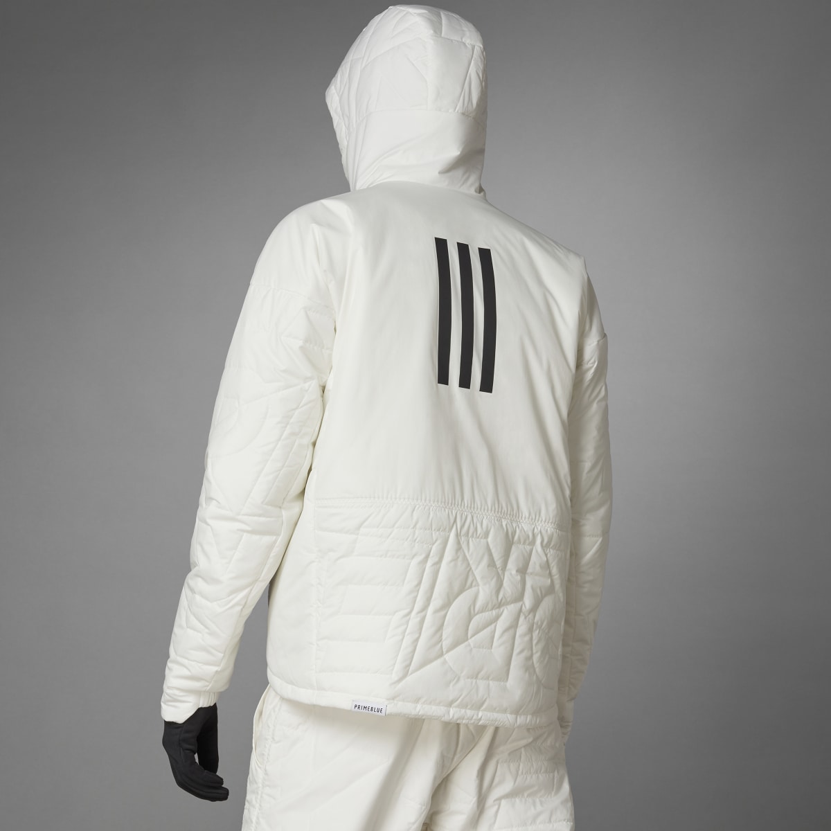 Adidas Casaco Acolchoado com Capuz PrimaLoft MYSHELTER TERREX. 9