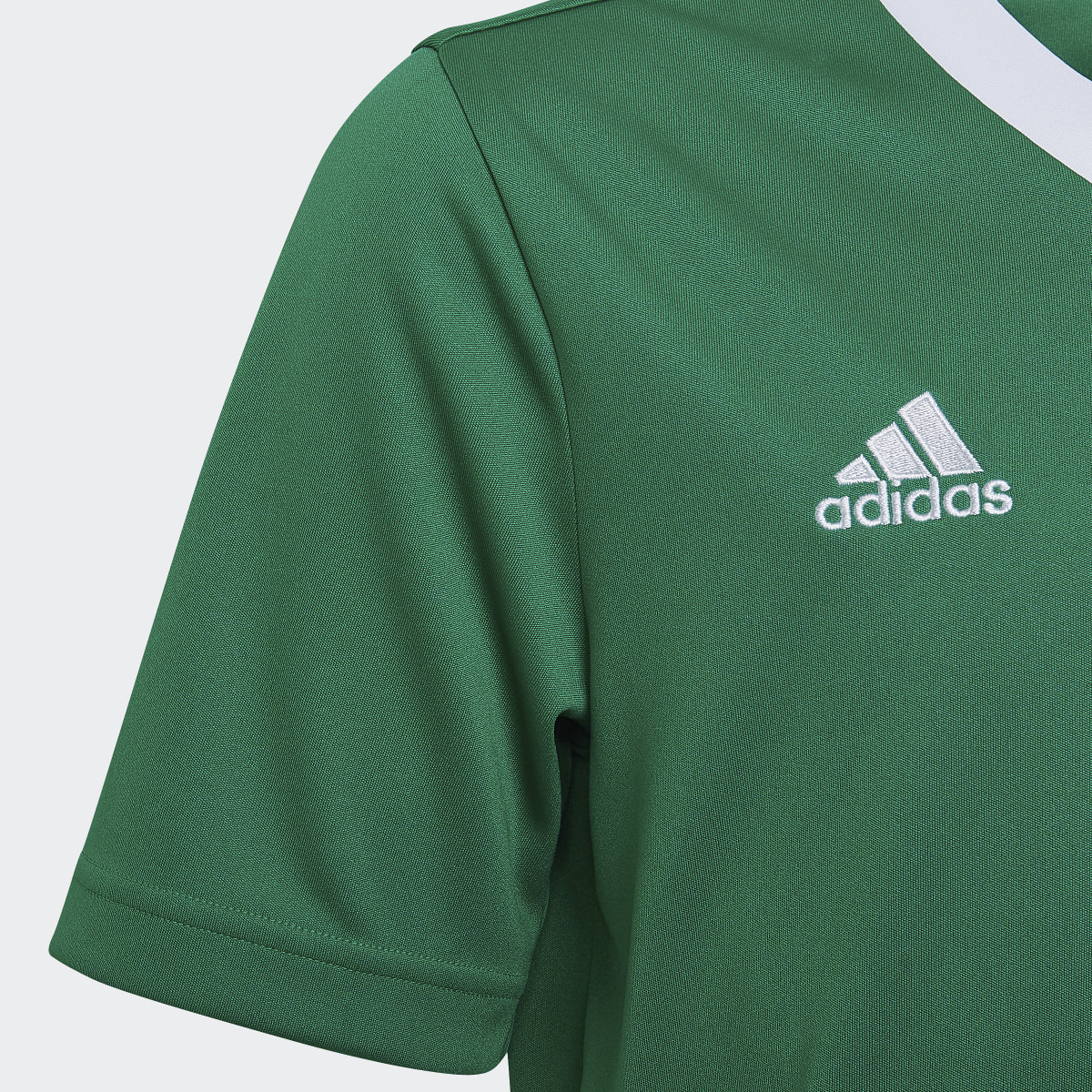 Adidas Camiseta Entrada 22. 5