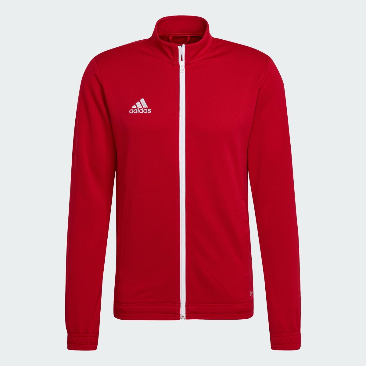 Adidas Chaqueta Entrada 22. 5