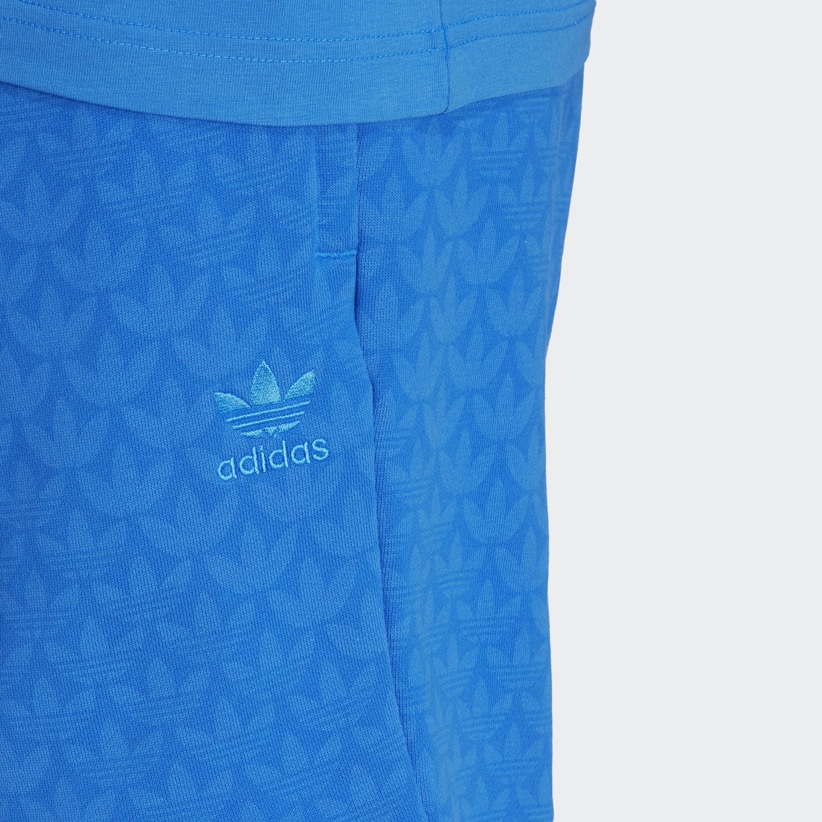 Adidas Graphics Monogram Shorts. 6