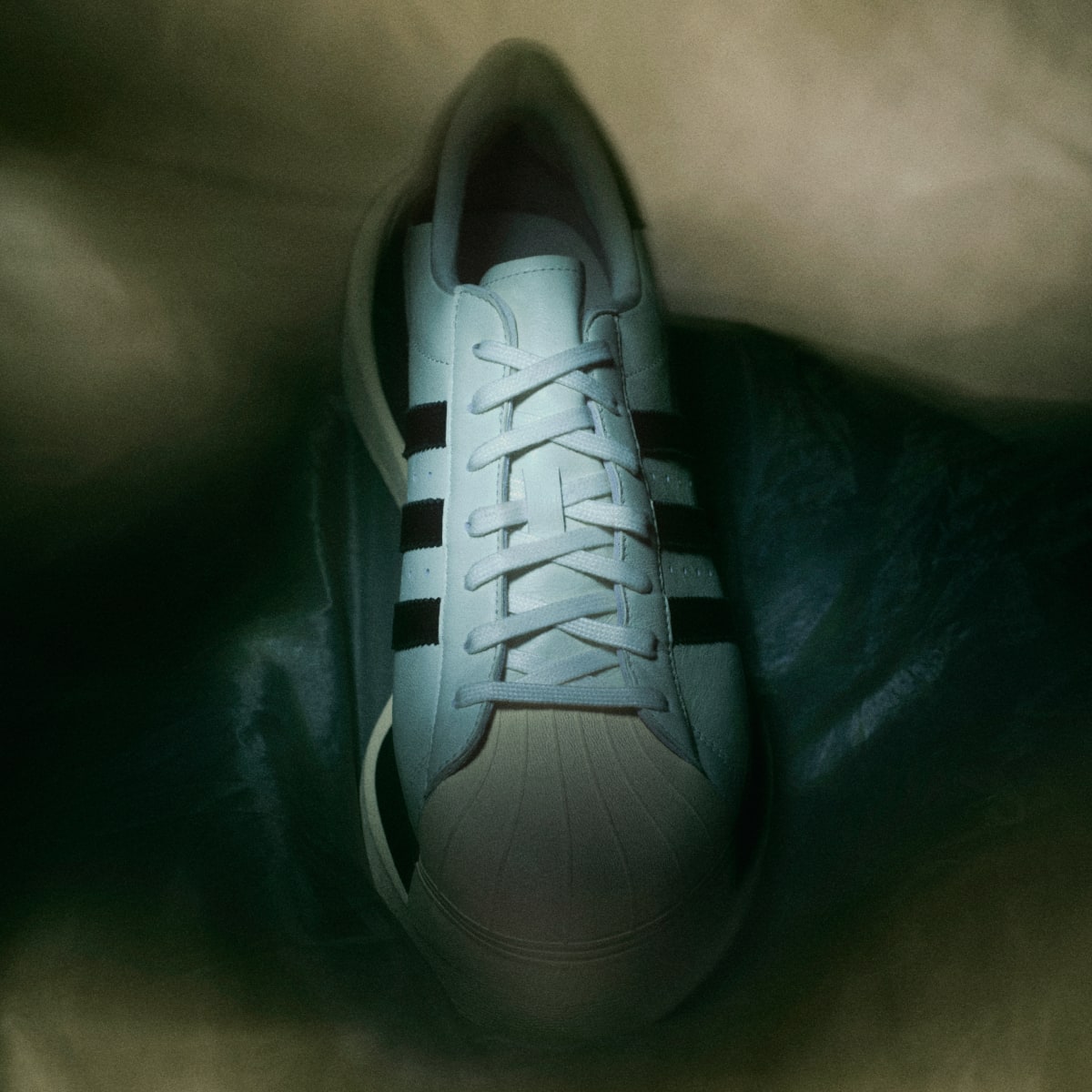 Adidas Gendo Superstar Y-3. 5