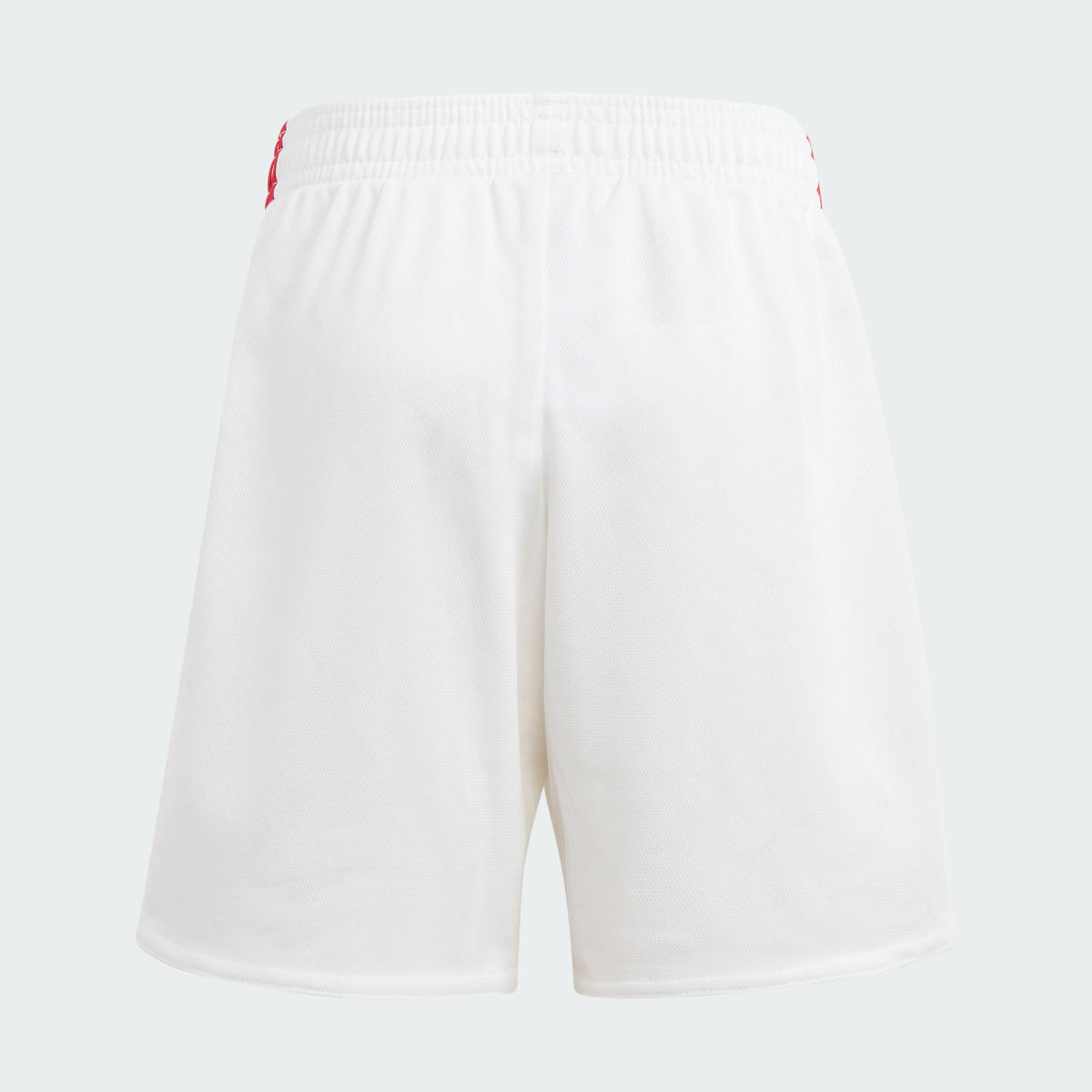 Adidas Divisa Mini Home 23/24 Ajax Amsterdam. 9