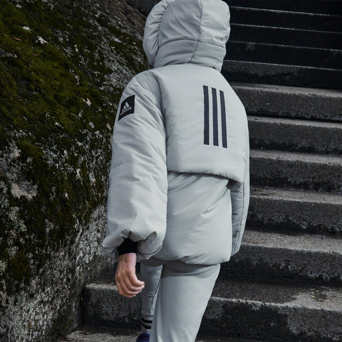 Adidas Chaqueta MYSHELTER COLD.RDY. 10