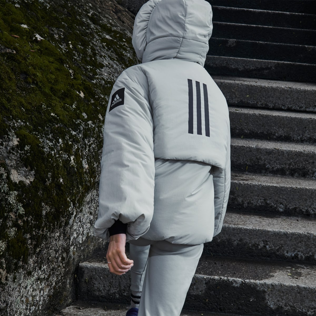 Adidas Giacca MYSHELTER COLD.RDY. 10