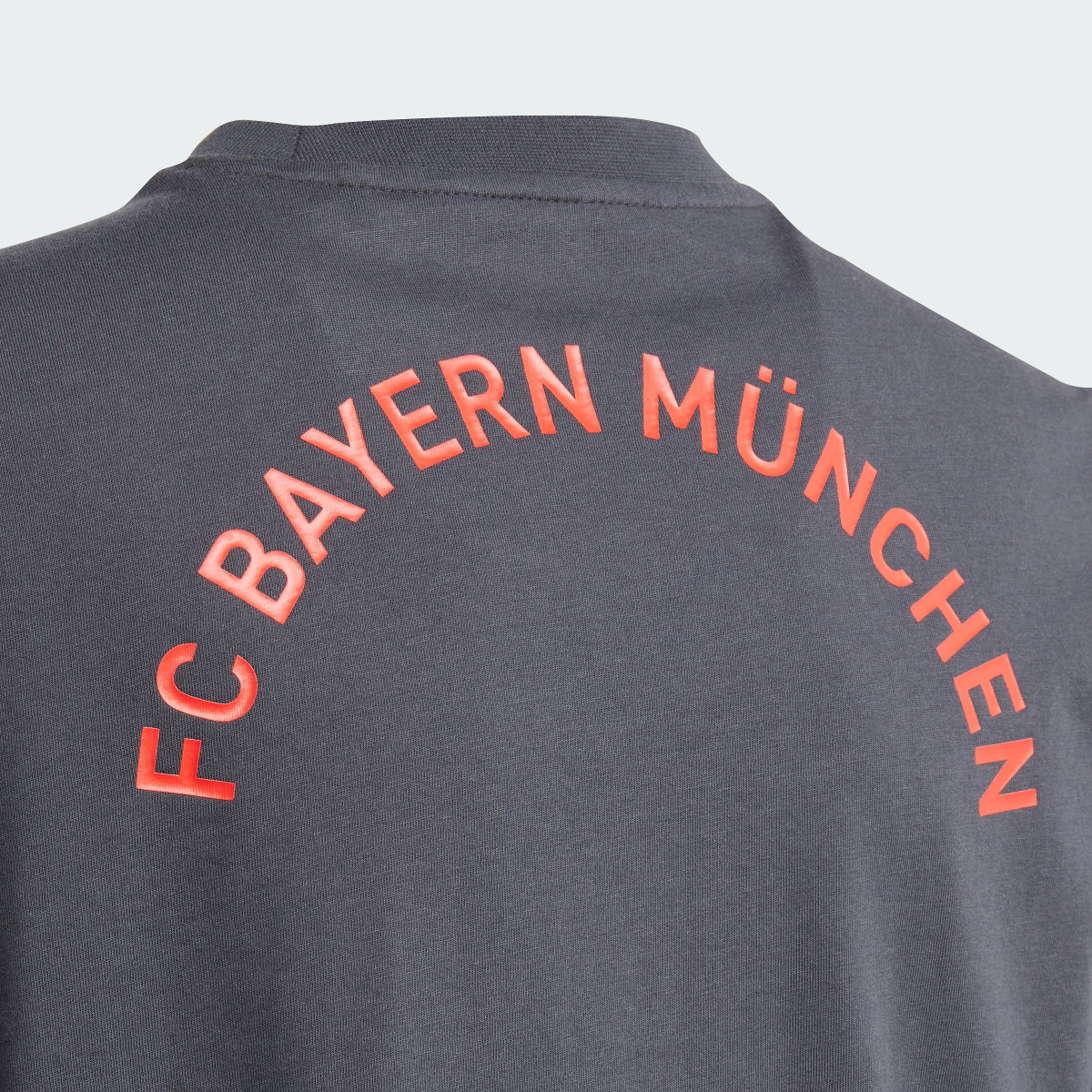 Adidas Camiseta FC Bayern Essentials Trefoil (Adolescentes). 5