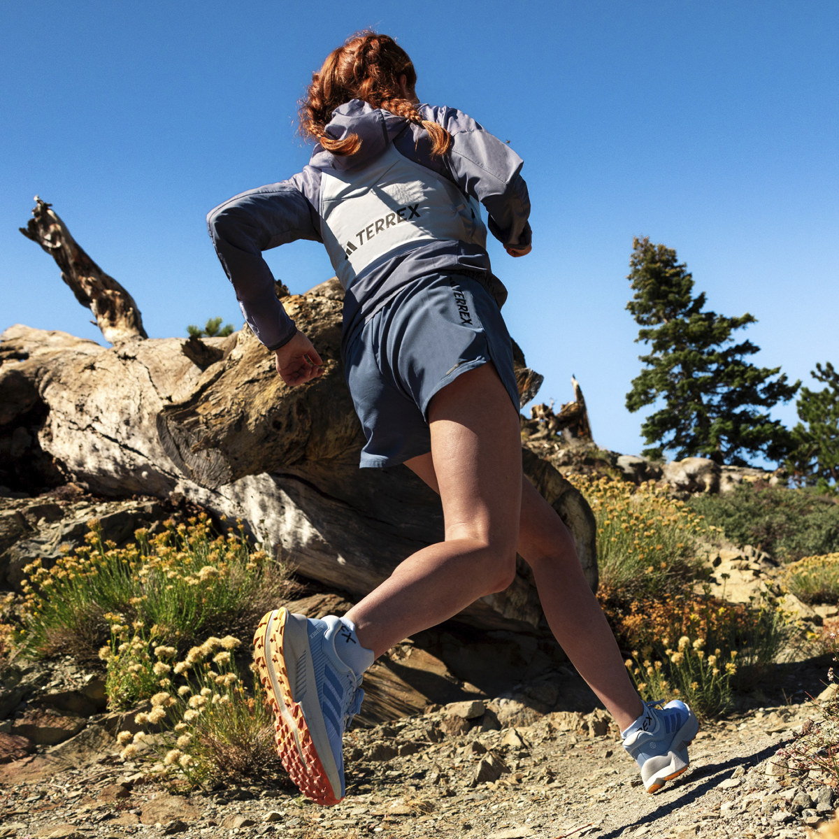 Adidas TERREX Soulstride Flow Trail Running Shoes. 10