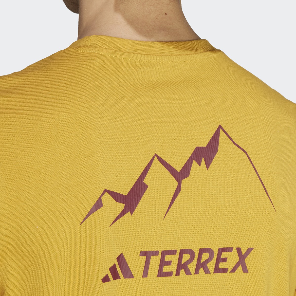 Adidas TERREX Graphic MTN 2.0 T-Shirt. 7