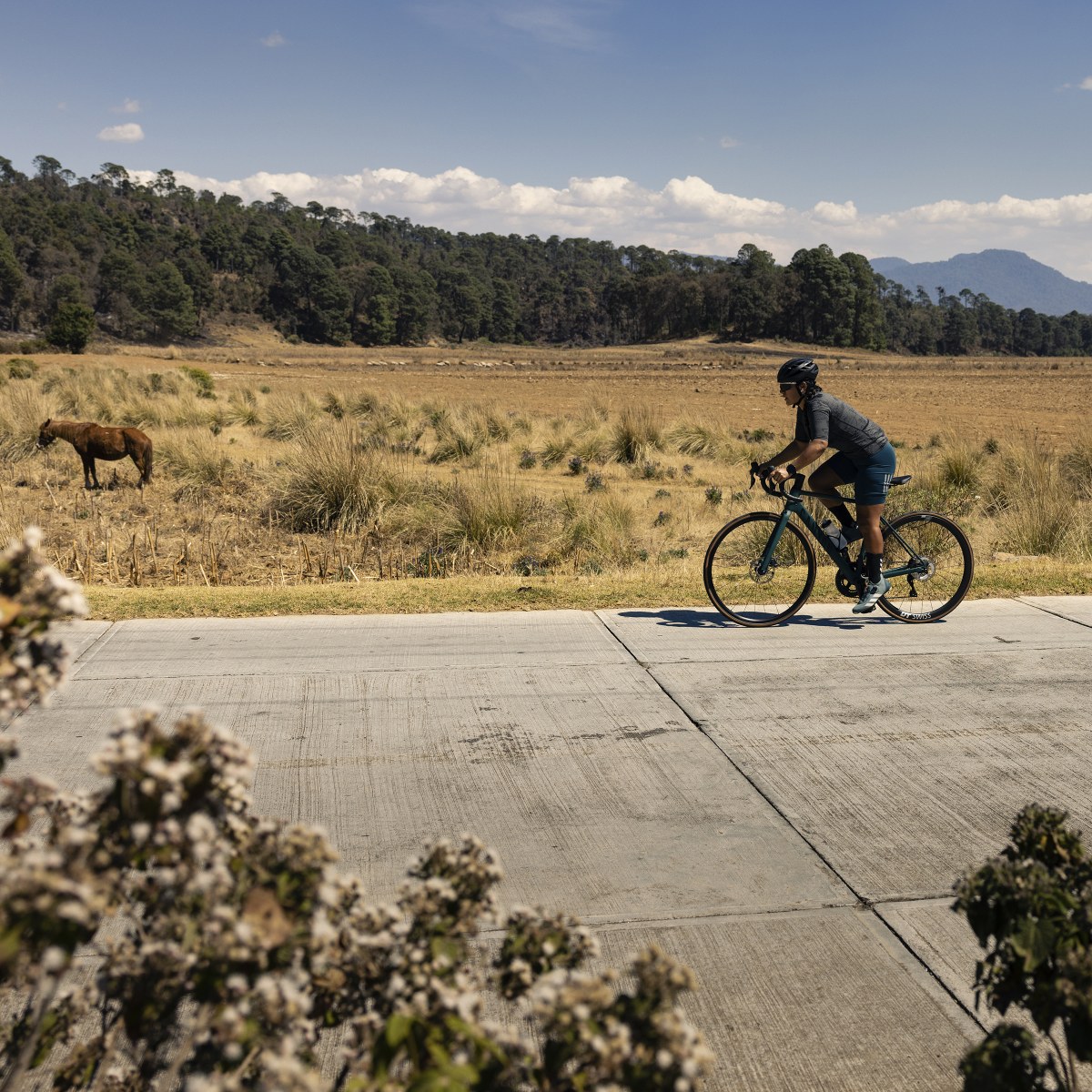 Adidas Maglia da ciclismo The Parley Short Sleeve. 12