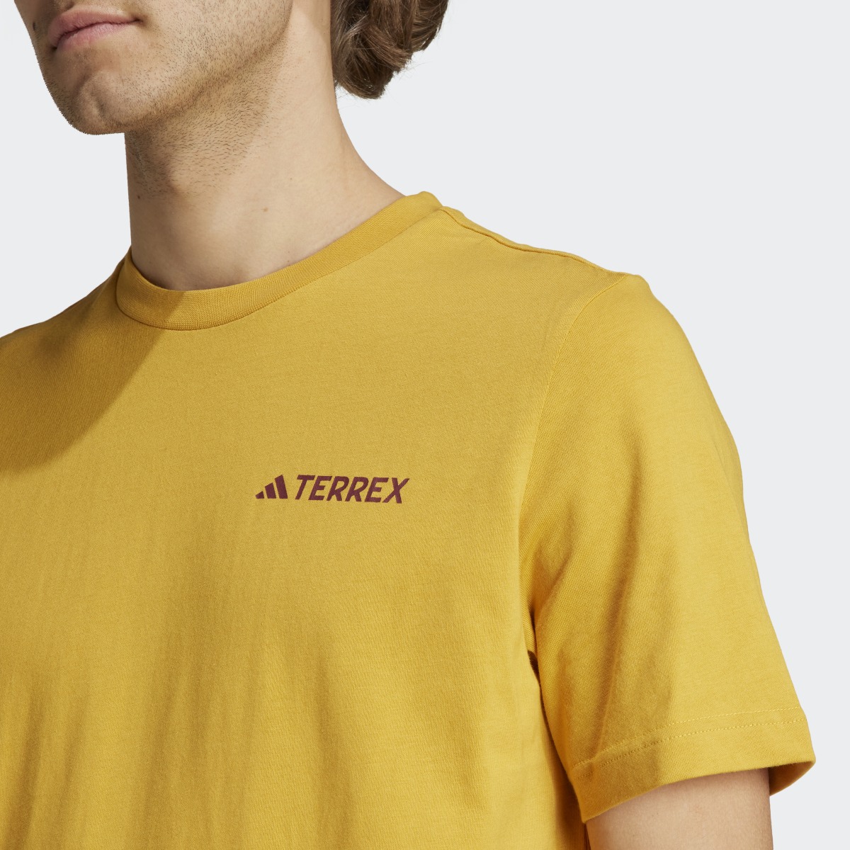 Adidas TERREX Graphic MTN 2.0 T-Shirt. 6