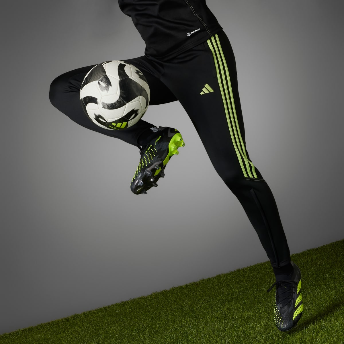 Adidas Predator Accuracy Injection.1 Low Çim Saha Kramponu. 8