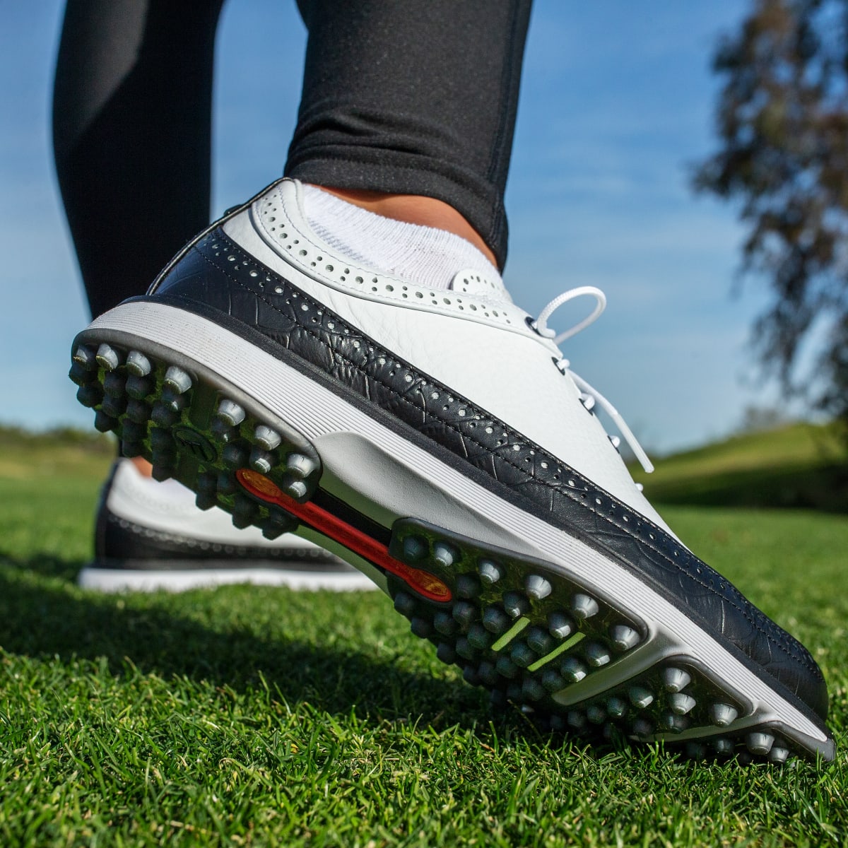 Adidas Buty Modern Classic 80 Spikeless Golf. 5