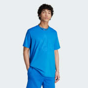 Cor do artigo: Blue Bird