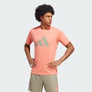 Color del artículo: Coral Fusion / Silver Pebble