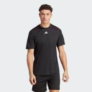 Farbe: Black / Transparent