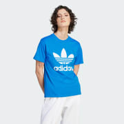 Cor do artigo: Blue Bird