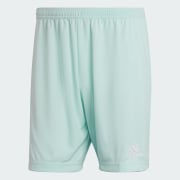 Product color: Clear Mint